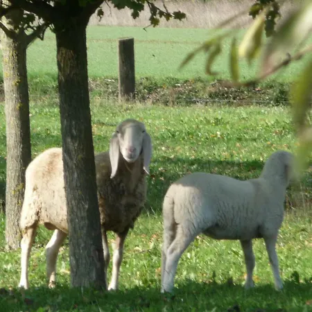 Il Selgaro Agriturismo *