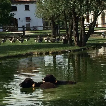 Il Selgaro Agriturismo 팜스테이
