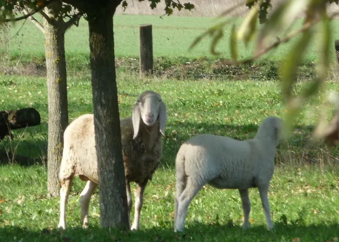 Il Selgaro Agriturismo *